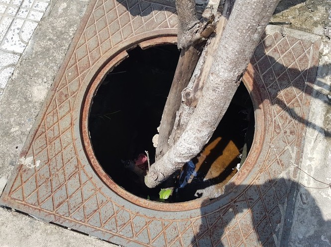 Hàng trăm nắp cống trên tuyến đường đẹp nhất đảo Phú Quốc bị trộm lấy cắp - ảnh 2