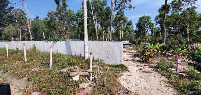 Bắt đối tượng bao chiếm đất, hủy hoại tài sản của người khác ở Phú Quốc - ảnh 2