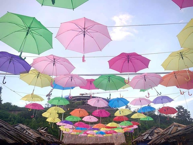 Ngất ngây với hành trình “săn mây” vào mùa đẹp nhất trong năm tại Sa Pa - ảnh 8