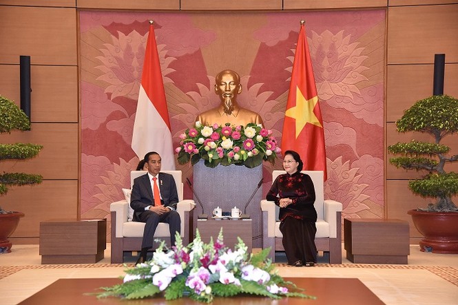 Quan hệ Đối tác Chiến lược giữa VN-Indo đã mở ra một chương mới - ảnh 1