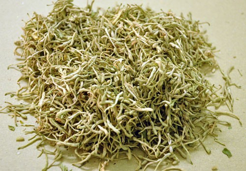Kim ngân hoa Kim ngân hoa