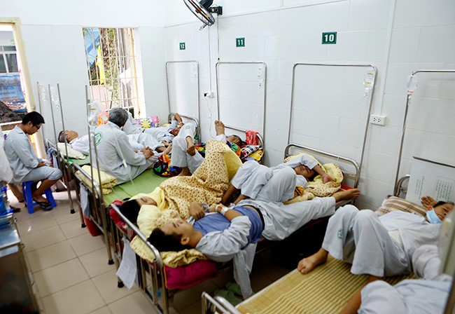 Hà Nội, căng thẳng vì muỗi “không sợ thuốc” do mưa liên tiếp - ảnh 1