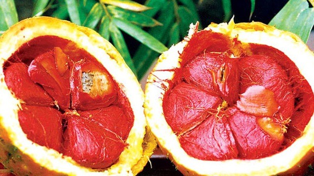Những loại hạt vừa chữa bệnh vừa 'tốt gấp tỷ lần' thuốc bổ - ảnh 4
