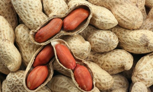 Những loại hạt vừa chữa bệnh vừa 'tốt gấp tỷ lần' thuốc bổ - ảnh 3