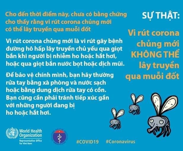 Chuyên gia y tế giải đáp thông tin 'bị muỗi đốt lây nhiễm Covid-19' - ảnh 1