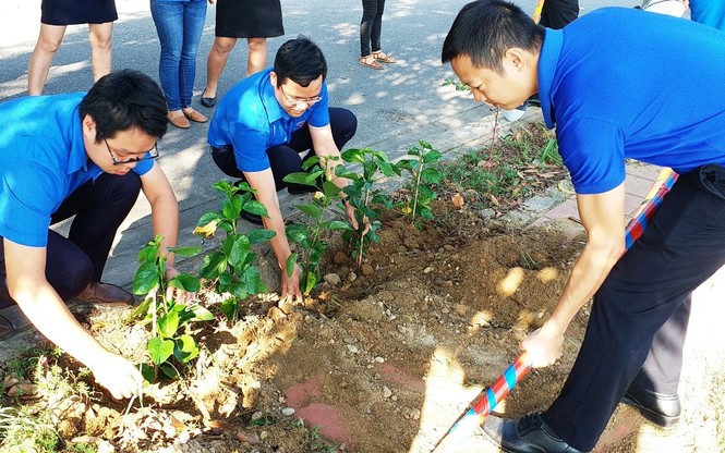 Đoàn viên thanh niên cụm Bắc Trung Bộ hưởng ứng 'Chủ Nhật xanh' tại Huế - ảnh 7