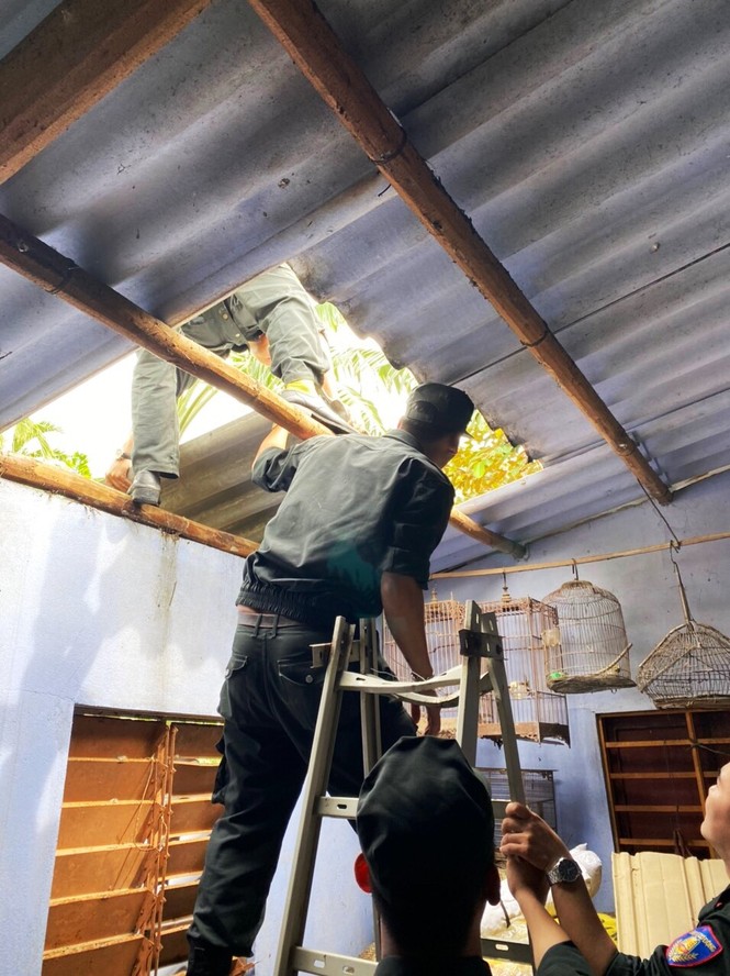 Quân đội, công an huy động 100% quân số ứng phó bão số 9 - ảnh 8