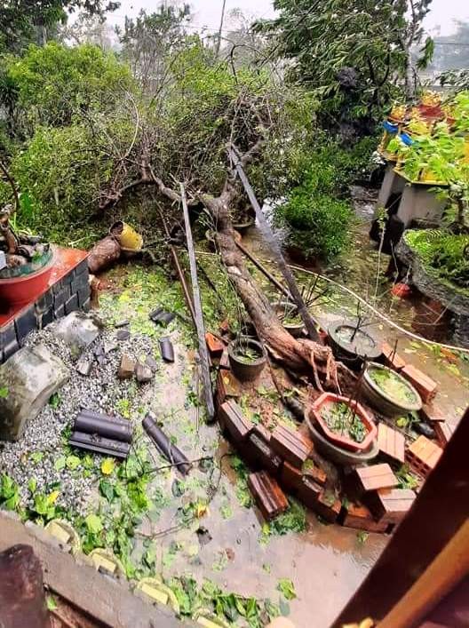Thừa Thiên Huế: Huyện miền núi Nam Đông tan hoang trong bão số 9 - ảnh 13