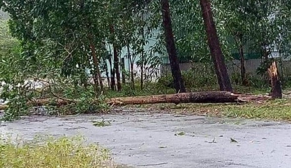 Thừa Thiên Huế: Huyện miền núi Nam Đông tan hoang trong bão số 9 - ảnh 15