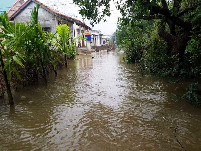 Học sinh Thừa Thiên Huế lại nghỉ học hàng loạt do mưa lũ - ảnh 6