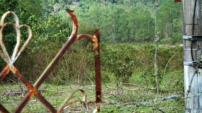 TT-Huế: Vì sao khu xử lý rác thải triệu đô ‘trùm mền’ bất động nhiều năm? - ảnh 8