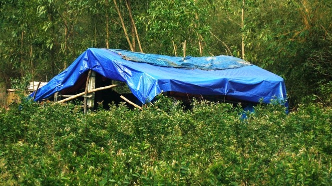 TT-Huế: Vì sao khu xử lý rác thải triệu đô ‘trùm mền’ bất động nhiều năm? - ảnh 12