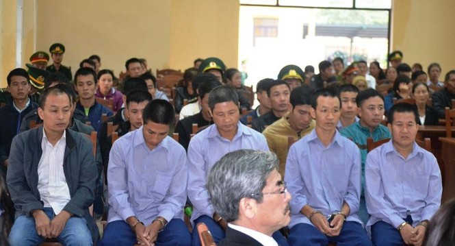 Xét xử 21 đồng phạm vụ phá rừng pơ mu ở Quảng Nam - ảnh 2
