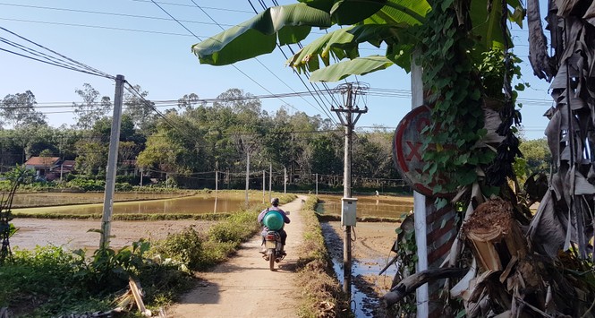 Cận cảnh làng Đo Đo trong tác phẩm Mắt biếc - ảnh 11