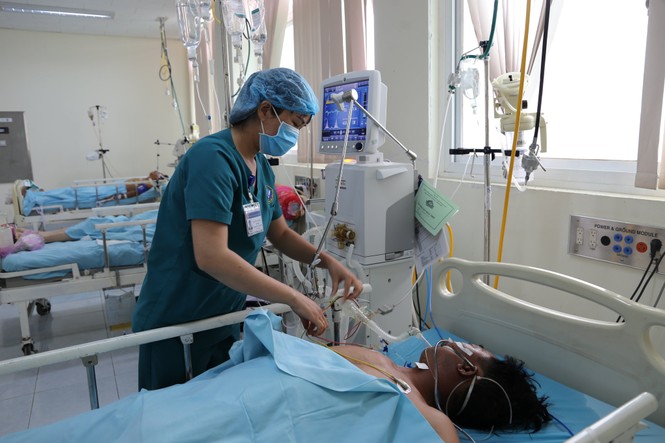 6 người nhập viện sau khi ăn cá nóc - ảnh 1