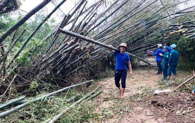 Thanh niên xung kích dọn dẹp sau bão số 9 - ảnh 8