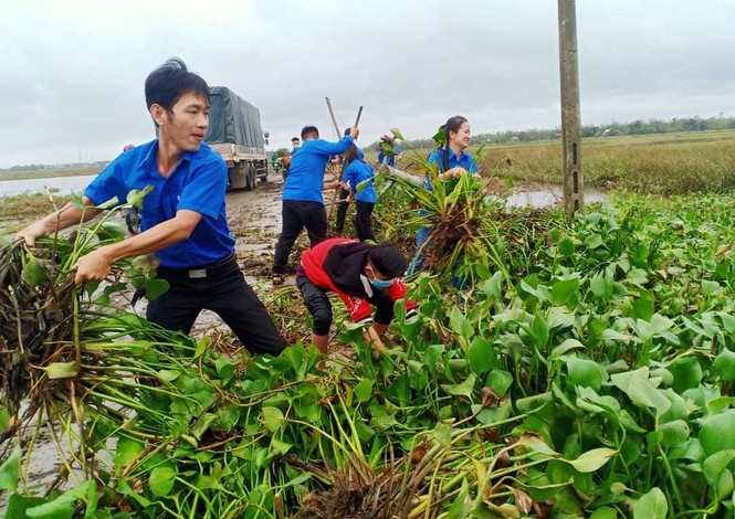 Thanh niên xung kích dọn dẹp sau bão số 9 - ảnh 3