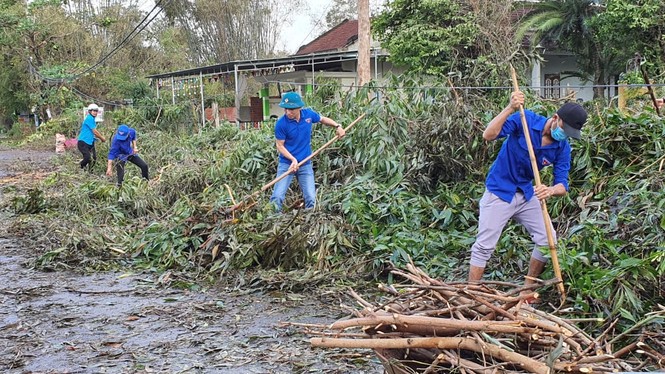 Thanh niên xung kích dọn dẹp sau bão số 9 - ảnh 11