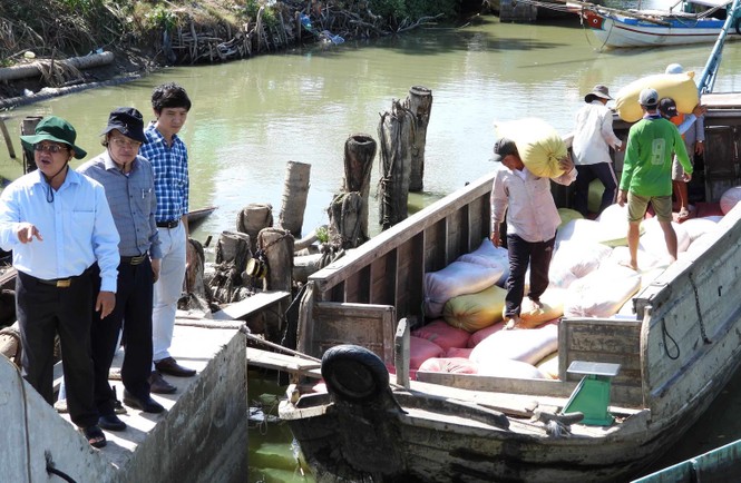 Hạn hán tàn phá miệt U Minh Hạ - ảnh 1