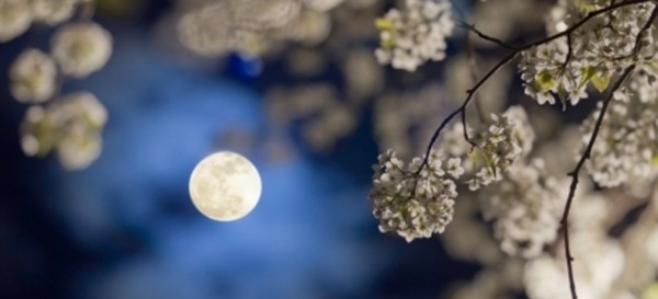 Siêu Trăng Tròn cuối cùng và đặc biệt nhất năm sắp xuất hiện, bạn sẵn sàng chưa? - ảnh 2