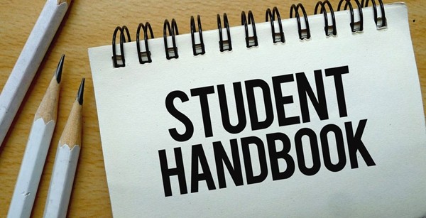 Nhà trường đuổi học sinh vì nói bậy, luật sư bảo thế là vi phạm quyền tự do ngôn luận - ảnh 3