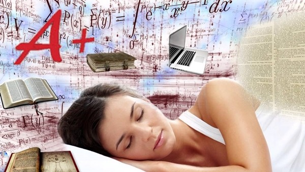 3 cách “hack” não để học tập hiệu quả: Học siêu nhanh, nhớ siêu lâu - ảnh 3