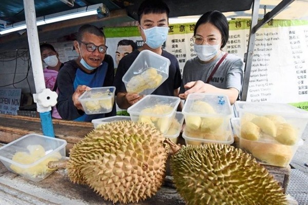 Đang lái ô tô thì bị sầu riêng bay trúng đầu, gây tai nạn liên hoàn - ảnh 1