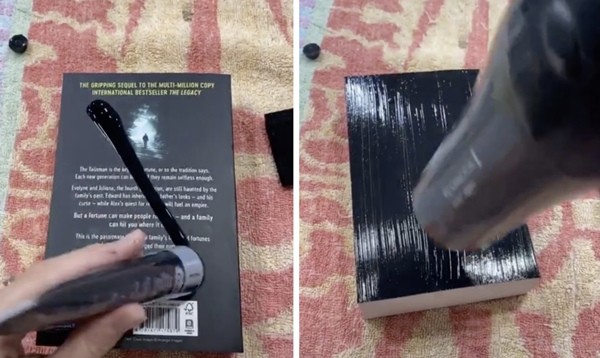 Các fan thích đọc sách tức muốn điên vì trào lưu “biến sách thành đồ hiệu” trên TikTok - ảnh 1