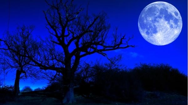 Vào đúng lễ Halloween năm nay, bạn sẽ thấy một điều đặc biệt và hiếm hoi ở trên bầu trời - ảnh 3