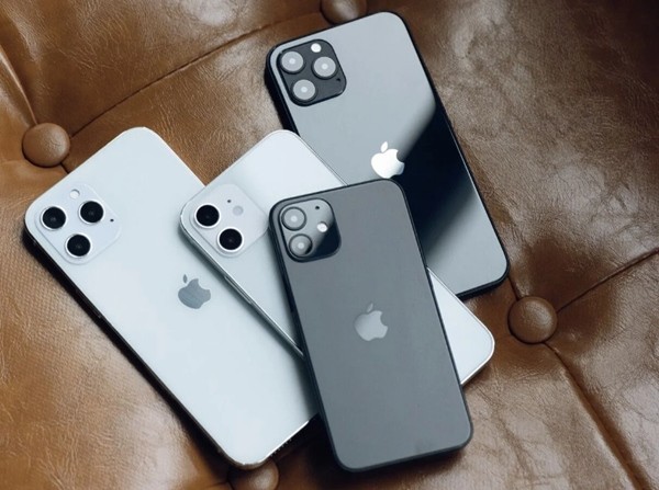 Nhận nhiệm vụ giao hàng, nhưng shipper này lấy luôn 14 chiếc iPhone 12, lại còn đem tặng bạn - ảnh 1