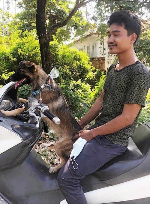 Chú chó đi lạc có cách cực thông minh để chủ tìm thấy mình, chủ cũng không tưởng tượng ra - ảnh 3