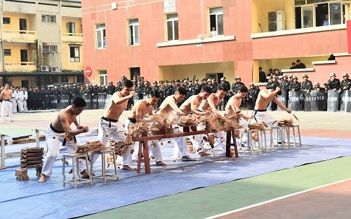 Bộ Tư lệnh Cảnh vệ ra quân bảo vệ Đại hội XIII của Đảng - ảnh 2