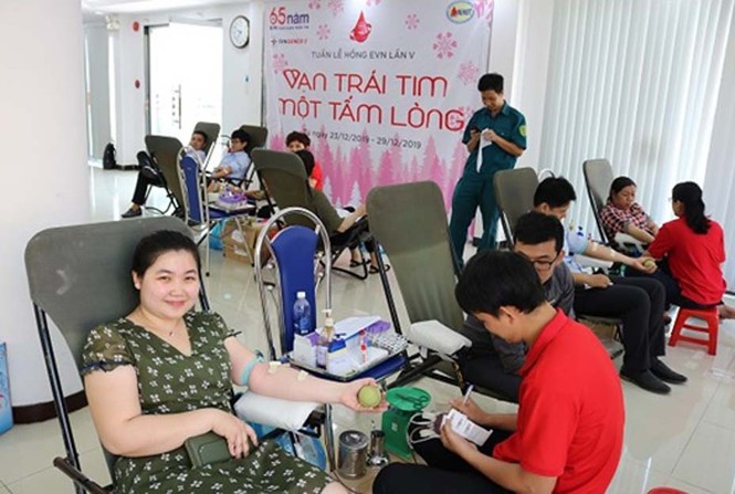 Tuần lễ hồng EVN của những người phát điện Bắc Trung Nam - ảnh 1