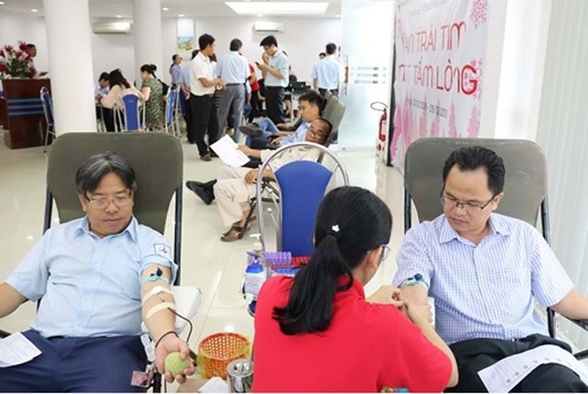 Tuần lễ hồng EVN của những người phát điện Bắc Trung Nam - ảnh 2