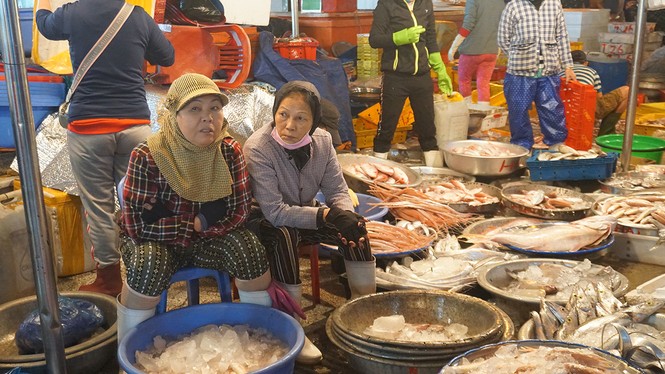 Đội rét mưu sinh lúc nửa đêm ở cảng cá lớn nhất miền Trung - ảnh 6