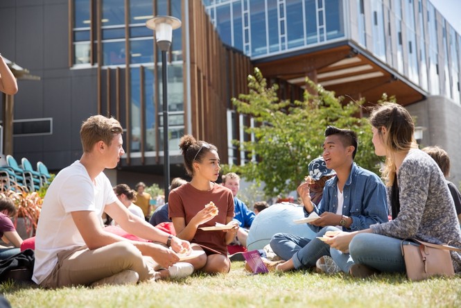 Thêm cơ hội du học New Zealand vừa tiết kiệm chi phí vừa