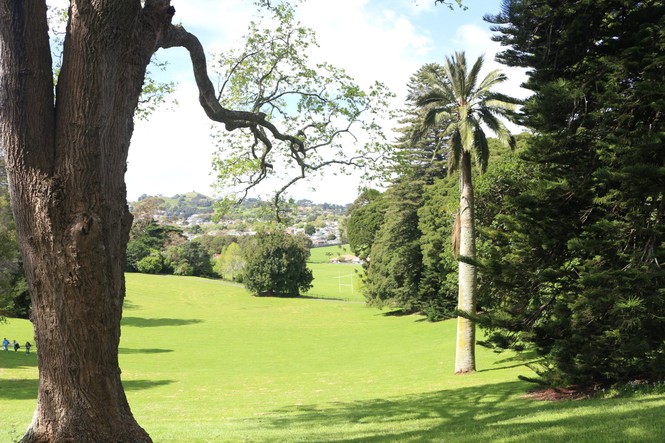 Bài dự thi cuộc thi “New Zealand - Bật mí trăm điều thú vị”: Tháng mười là mùa cỏ nở hoa và ấn tượng New Zealand của tớ - ảnh 4