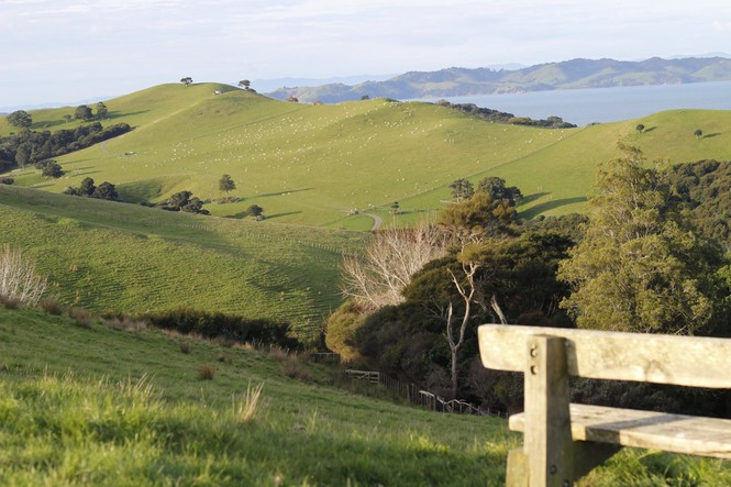 Bài dự thi cuộc thi “New Zealand - Bật mí trăm điều thú vị”: Tháng mười là mùa cỏ nở hoa và ấn tượng New Zealand của tớ - ảnh 1