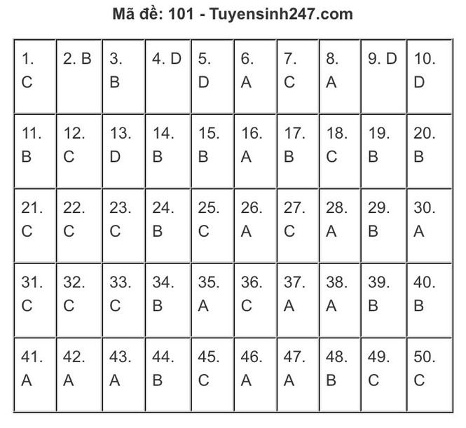 Gợi ý đáp án môn Toán thi Tốt nghiệp THPT 2020: Cùng chấm xem mình được mấy điểm? - ảnh 6