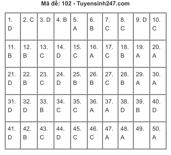 Gợi ý đáp án môn Toán thi Tốt nghiệp THPT 2020: Cùng chấm xem mình được mấy điểm? - ảnh 7