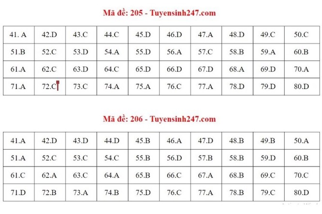 Gợi ý đáp án bài thi tổ hợp Khoa học tự nhiên kỳ thi Tốt nghiệp THPT 2020 - ảnh 14