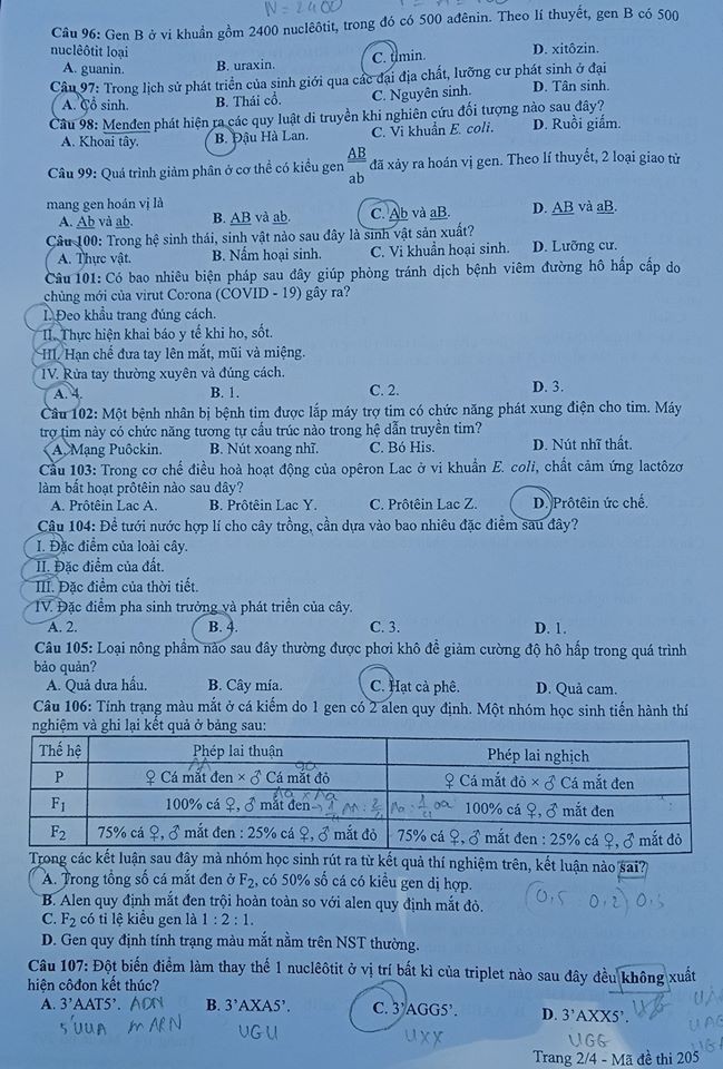Gợi ý đáp án bài thi tổ hợp Khoa học tự nhiên kỳ thi Tốt nghiệp THPT 2020 - ảnh 3
