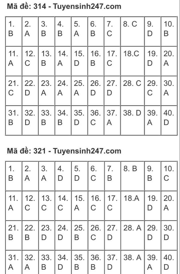 “Check” ngay gợi ý đáp án tổ hợp KHXH kỳ thi Tốt nghiệp THPT 2020 để biết điểm số nào! - ảnh 12