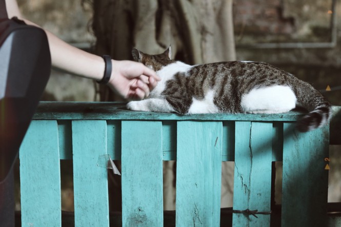 Nhà sách Mão - Chốn hò hẹn xưa cũ và bình yên cho những tâm hồn yêu sách tìm về - ảnh 10
