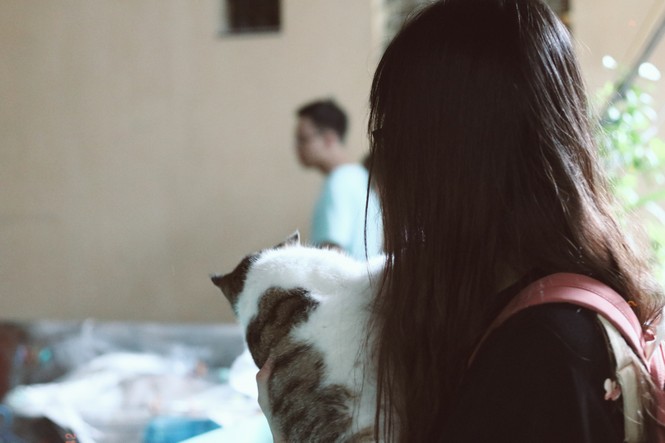 Nhà sách Mão - Chốn hò hẹn xưa cũ và bình yên cho những tâm hồn yêu sách tìm về - ảnh 11