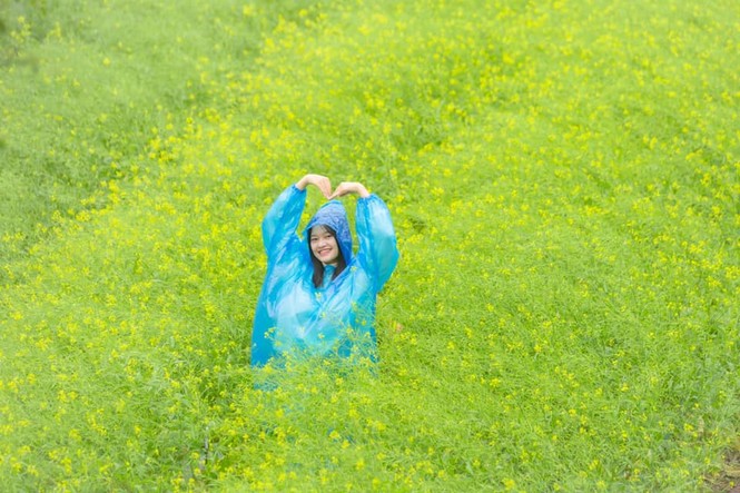 Học viện Nông nghiệp Việt Nam sở hữu một không gian tràn ngập sắc hoa, tha hồ