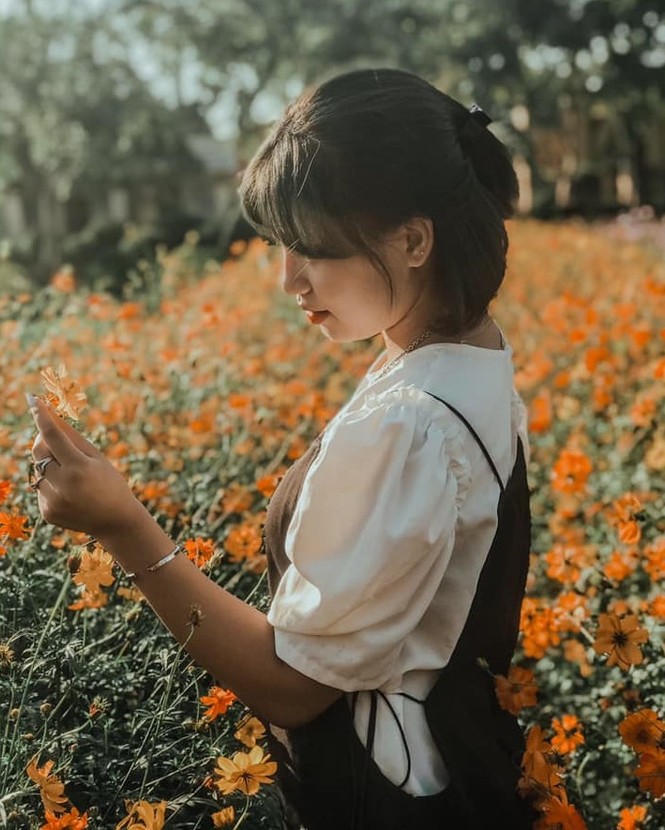 Học viện Nông nghiệp Việt Nam sở hữu một không gian tràn ngập sắc hoa, tha hồ
