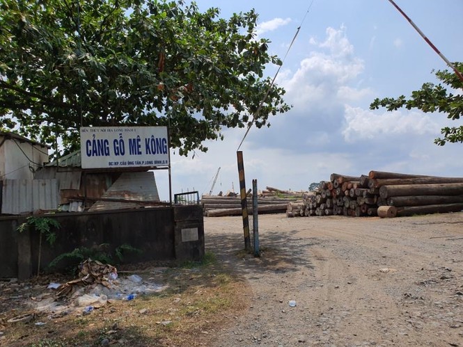 Đất công bị chiếm giữ như chốn không người ở TPHCM, Bình Dương - ảnh 6