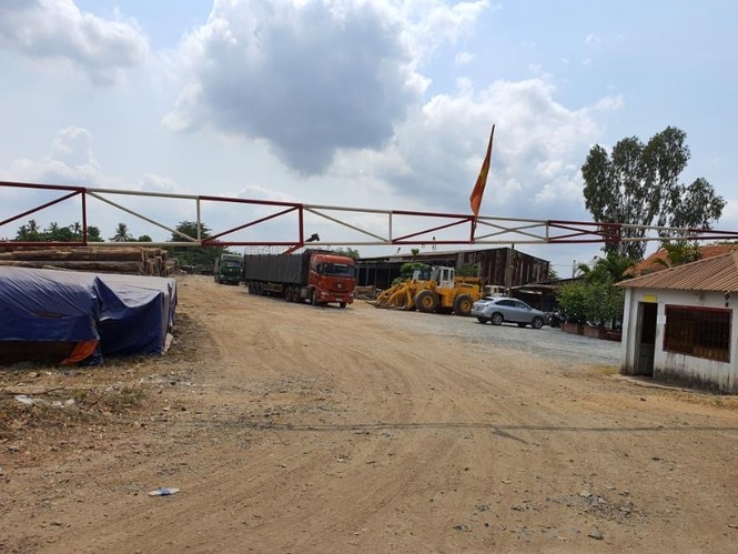 Đất công bị chiếm giữ như chốn không người ở TPHCM, Bình Dương - ảnh 2