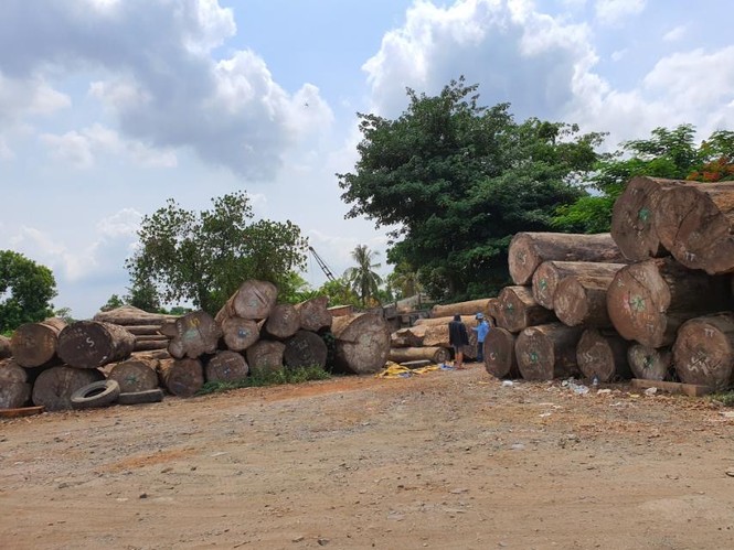 Đất công bị chiếm giữ như chốn không người ở TPHCM, Bình Dương - ảnh 5